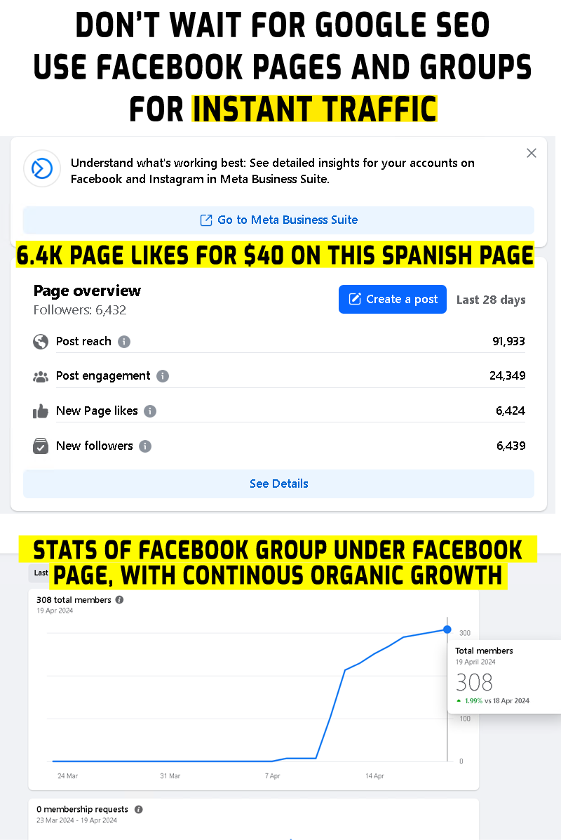 4-Figure SEO & Dropshipping Coaching